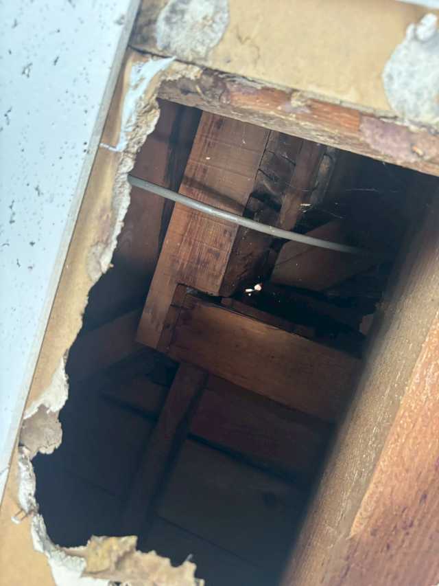 軒天内部の木下地露出